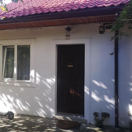 Casa Miron Unirii 3Strada Matei Corvin Apartament Temeşvar Dış mekan fotoğraf